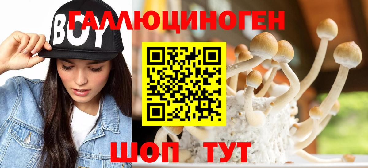 Псилоцибиновые грибы Cubensis Зерноград